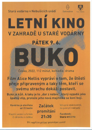 BUKO - film A. Nellis